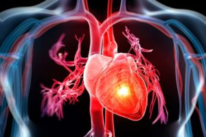 New Stem Cell Amalgamation Can Aid In Repairing Damaged Hearts