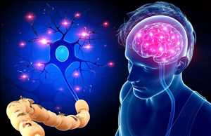 Neurodegenerative Diseases Market