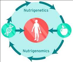 Global Nutrigenomics Market 
