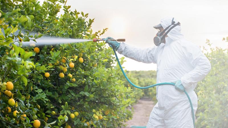 Biorational Pesticides