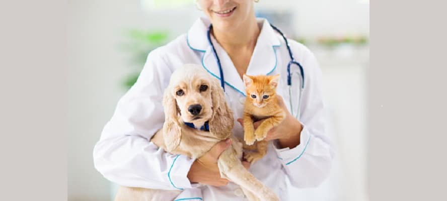 Companion Animal Pharmaceuticals