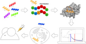 Constrained Peptide Drugs